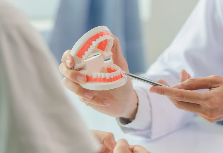 Pessoa segurando uma prótese dentária