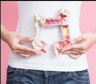 Mãos segurando um modelo anatômico do intestino, com uma parte destacada em vermelho, simbolizando o câncer colorretal e a possibilidade de cura.