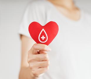 Mãos segurando um coração vermelho com uma gota de sangue e um símbolo de mais, representando a doação de sangue e sua importância para a saúde pública.