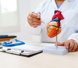 Profissional de saúde aponta para modelo anatômico do coração durante consulta, ilustrando o papel do cardiologista no diagnóstico e cuidado cardiovascular.