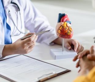Cardiologista explica doenças cardíacas usando modelo anatômico do coração durante consulta, destacando o papel da especialidade no tratamento.