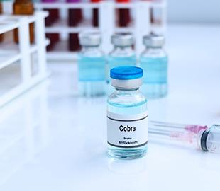 Frasco rotulado Cobra e soro antiveneno em um laboratório, com outros frascos e seringas ao fundo, simbolizando o tratamento para picadas de cobra.