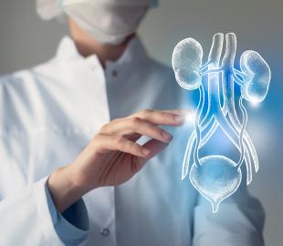 Profissional de saúde de jaleco branco e máscara, interagindo com uma imagem holográfica do sistema urinário (rins, ureteres e bexiga), simbolizando a infecção urinária e seu diagnóstico.