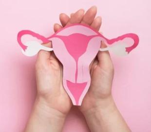 Mãos segurando um recorte de papel em formato de útero rosa, simbolizando a saúde feminina e o tema da menopausa.